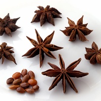 Star Anise, Aniseed and Fennel Essential Oils - What's the Diff?