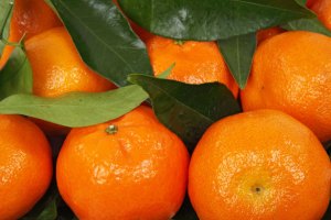 Mandarins are colourful, tasty and smell wonderful!