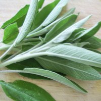 10 Recipes with Sage Essential Oil - Salvia officanalis