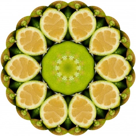 lemon mandala