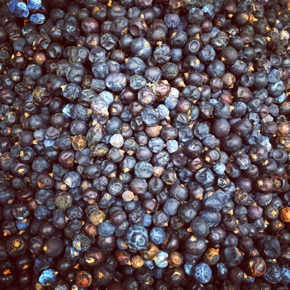 Dried juniper berries at a spice shop in Sydney