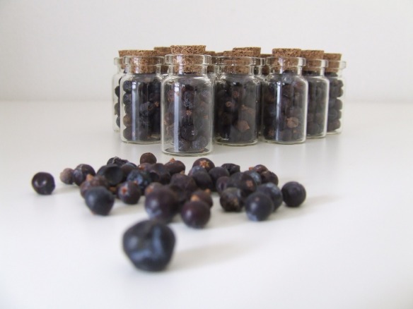 Dried juniper berries in bottles - lovely